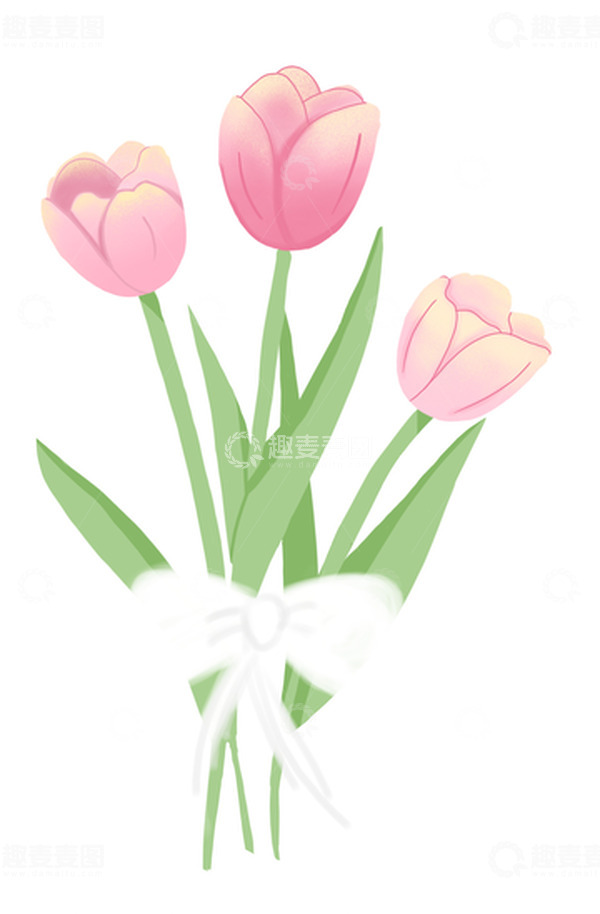 源文件下载【趣麦麦图】-郁金香鲜花花束夏天小暑春天蝴蝶结手绘