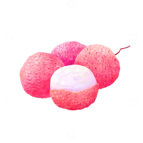 源文件下载【趣麦麦图】水彩荔枝小暑元素