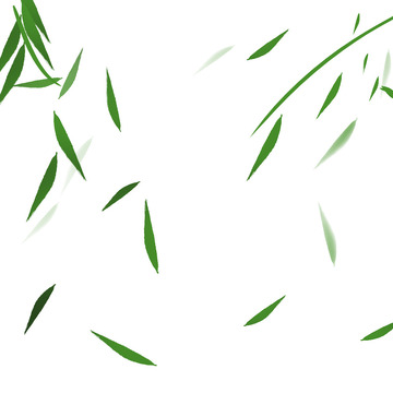 简约绿色小清新竹叶叶子元素