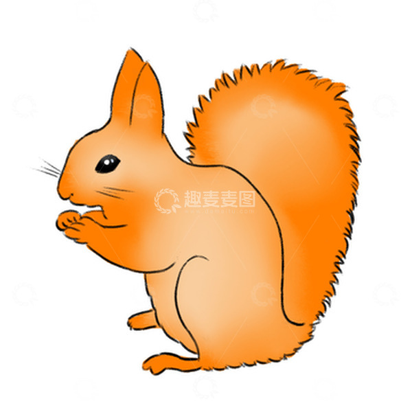 源文件下载【趣麦麦图】动物橙色松鼠卡通手绘