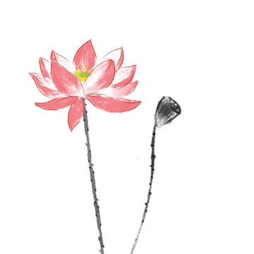 小清新水墨荷花国画荷花莲花荷花元素