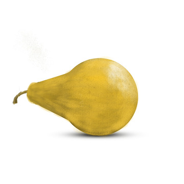 黄色梨手绘大鸭梨水果砀山梨