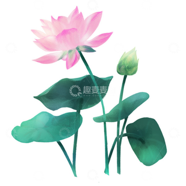 源文件下载【趣麦麦图】绿色手绘小暑莲花