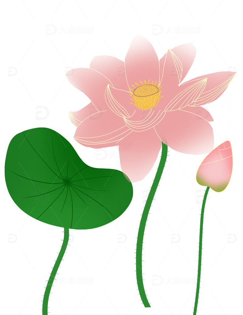 源文件下载【趣麦麦图】-夏日清新国潮风荷花荷叶