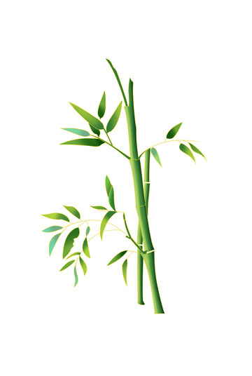 绿色植物大暑小暑竹子装饰国潮手绘树林风景