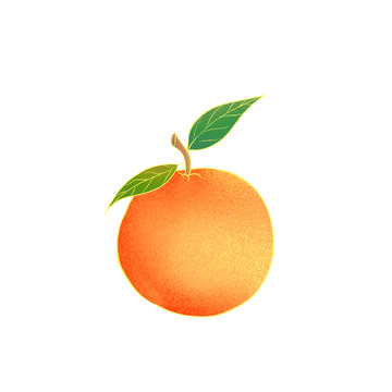 小清新水果橙子橘子手绘水果元素