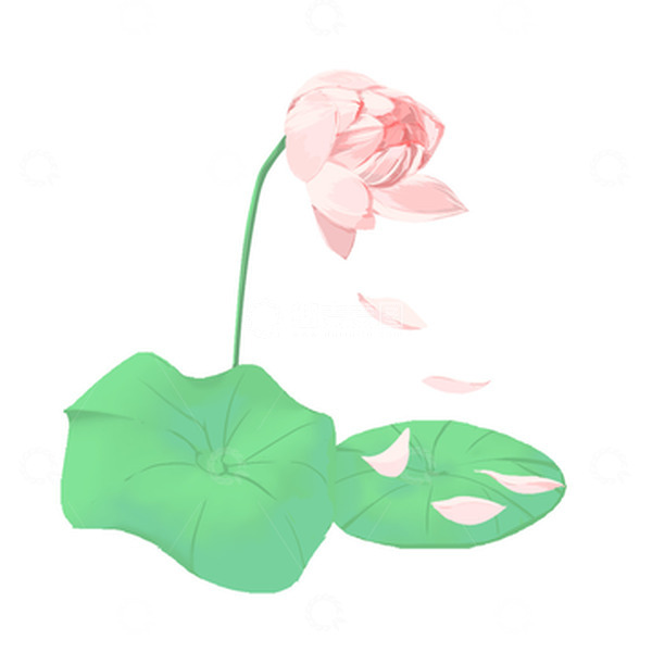 源文件下载【趣麦麦图】手绘粉色荷花