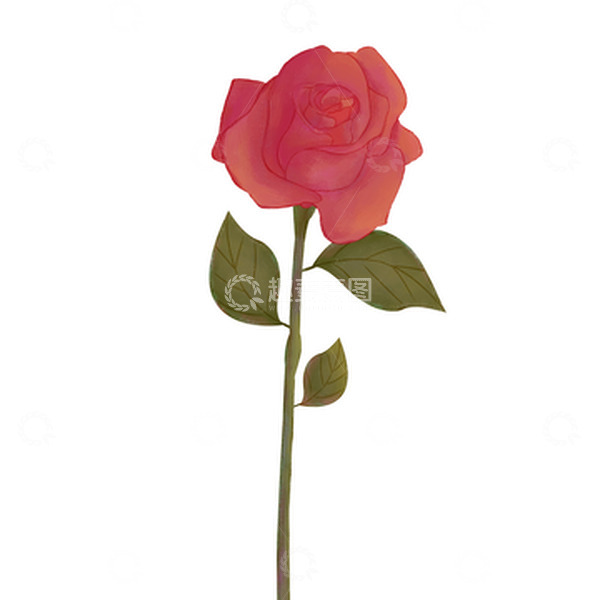 源文件下载【趣麦麦图】手绘七夕情人节红色玫瑰花插画元素