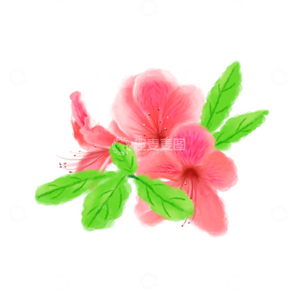 源文件下载【趣麦麦图】粉色手绘小清新杜鹃花元素