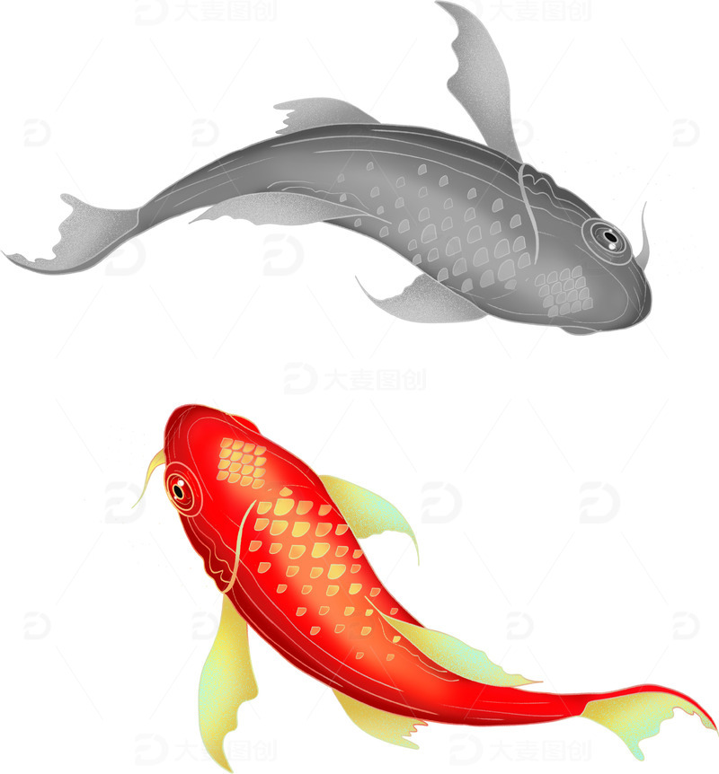 源文件下载【趣麦麦图】金红色黑白锦鲤手绘插画元素锦鲤大暑
