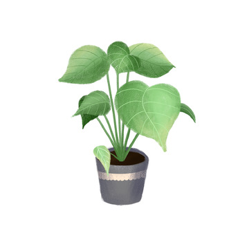 手绘绿色植物盆栽