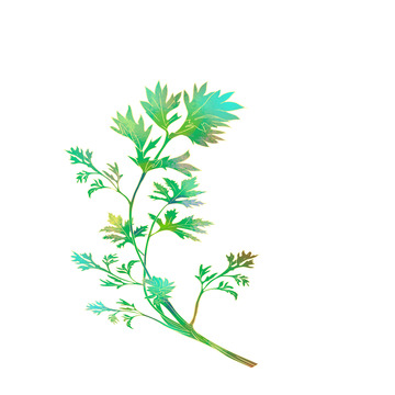 手绘国潮艾草芹菜端午节元素