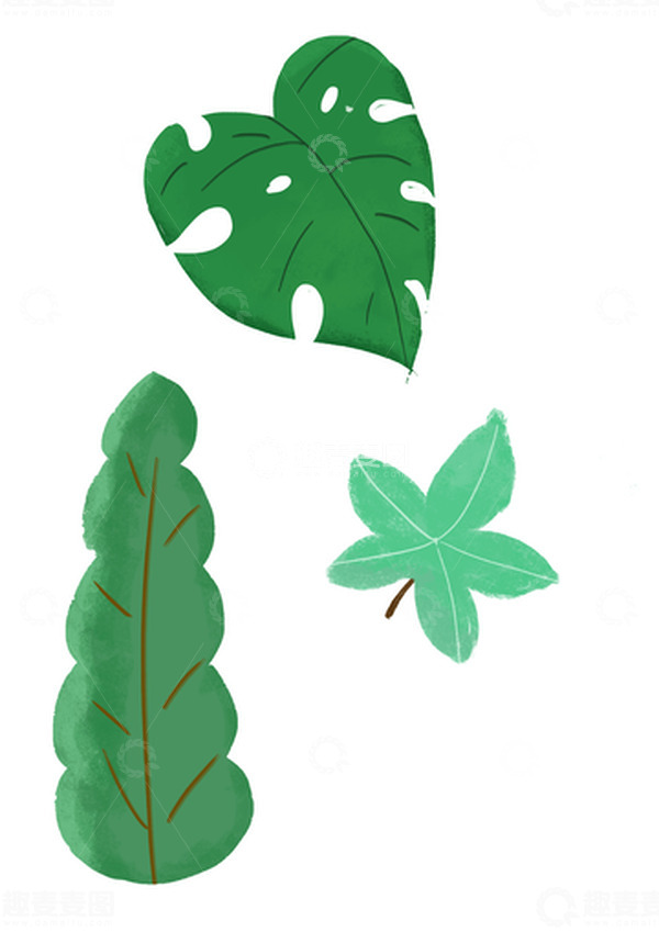 源文件下载【趣麦麦图】绿色夏季植物叶子小树丛龟背竹叶子