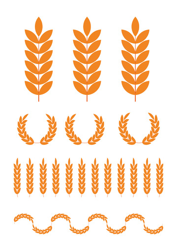 金黄的麦穗 橄榄枝 稻子