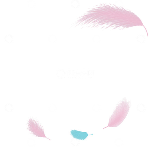 源文件下载【趣麦麦图】粉色白色蓝色彩色小清新装饰性羽毛元素