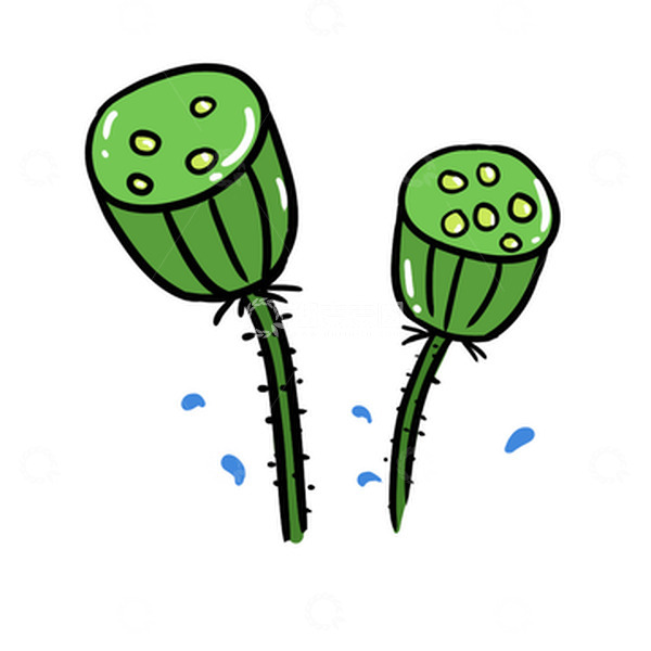 源文件下载【趣麦麦图】绿色卡通莲蓬荷花果实莲子夏天手绘图