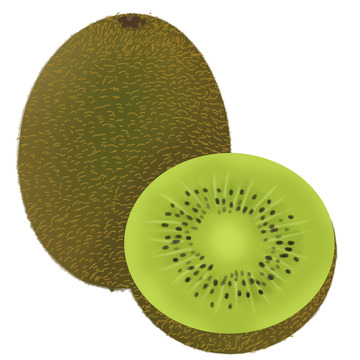 猕猴桃切开手绘水果