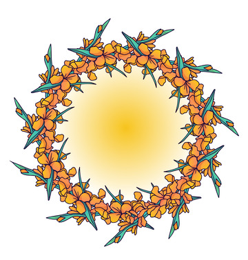 夏日清新插画风格标题框
