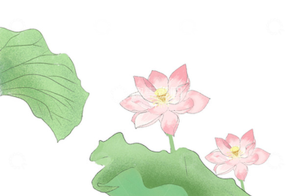 源文件下载【趣麦麦图】中国风手绘荷花荷叶