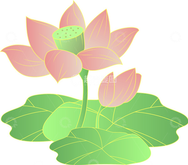 源文件下载【趣麦麦图】夏日扁平风荷花元素