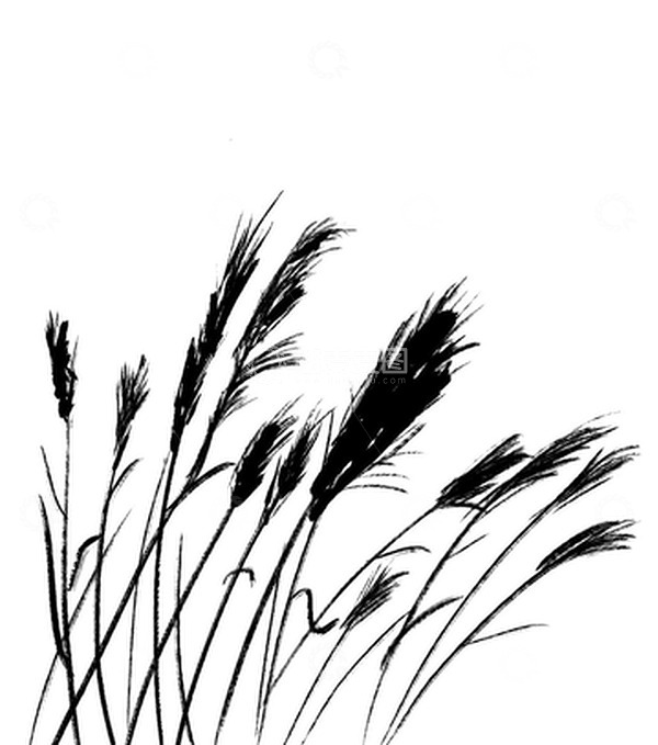 源文件下载【趣麦麦图】水墨风河边芦苇