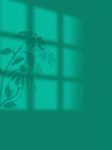 高级磨砂质感叶子窗户投影光影素材背景