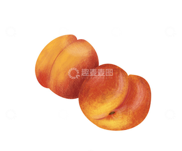 源文件下载【趣麦麦图】橙色水果甜杏手绘素材