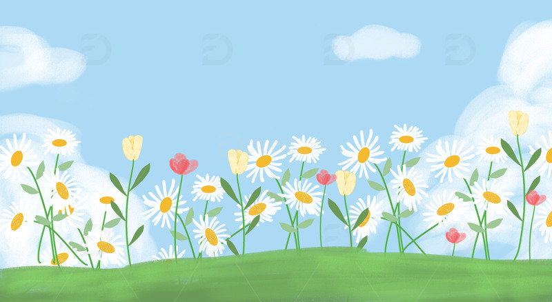手绘小雏菊菊花郁金香花海绿地PSD