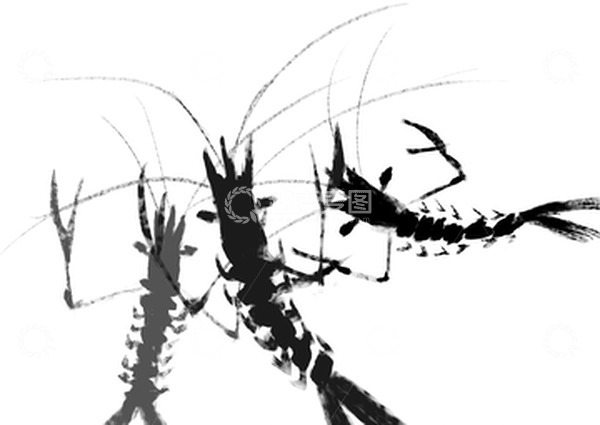 源文件下载【趣麦麦图】手绘水墨画毛笔画水墨虾