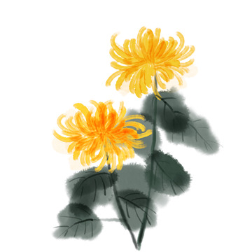 水墨画菊花元素