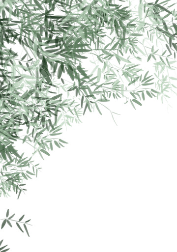 绿色小清新水墨竹子插画元素