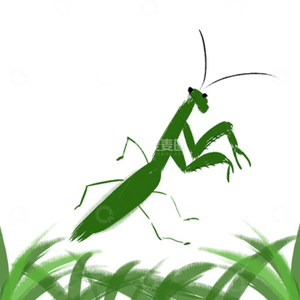 源文件下载【趣麦麦图】绿色螳螂昆虫手绘
