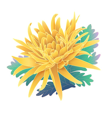 菊花国风插画元素