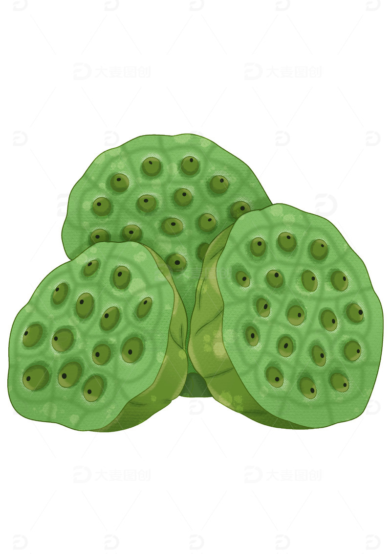 源文件下载【趣麦麦图】绿色莲蓬大暑手绘夏天河莲