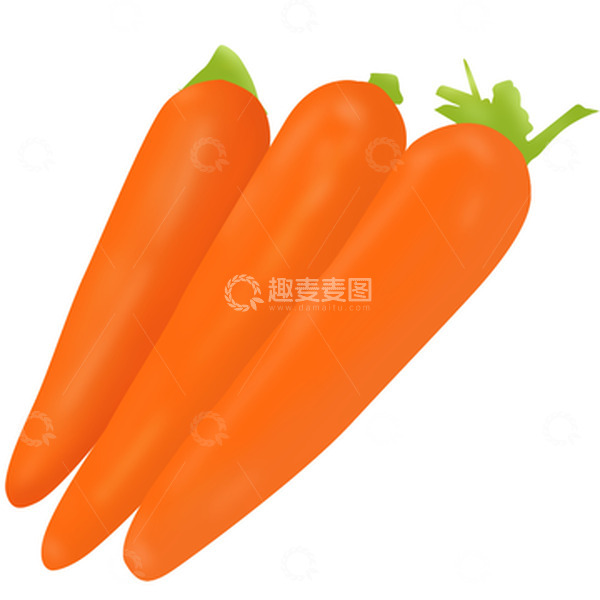源文件下载【趣麦麦图】胡萝卜红萝卜甘荀蔬菜手绘