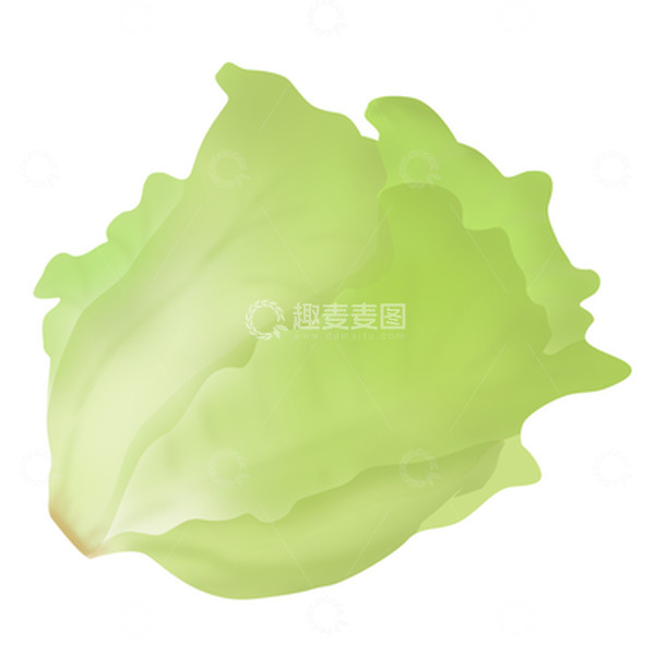 源文件下载【趣麦麦图】生菜鹅仔菜唛仔菜莴仔菜蔬菜手绘