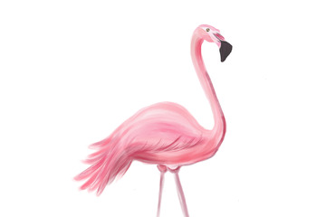 大暑夏季浪漫粉色活力火烈鸟