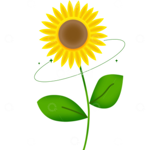 源文件下载【趣麦麦图】夏日盛开的向日葵