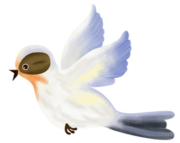 七夕彩色小鸟手绘素材