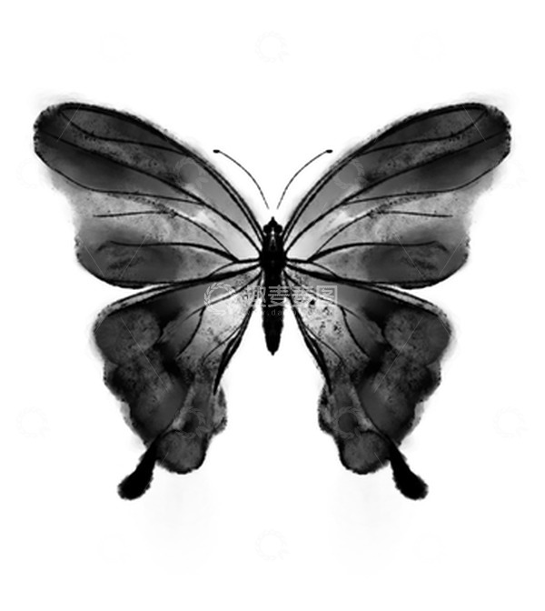 源文件下载【趣麦麦图】写意蝴蝶水墨风素材手绘昆虫