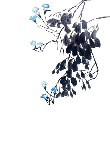 国画水彩墨墙头侧垂蓝野花