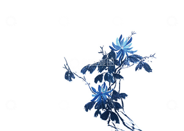 源文件下载【趣麦麦图】独枝盛开蓝色菊花