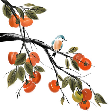 黄色绿色水墨画国画柿柿如意柿子花鸟手绘