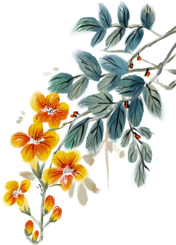 黄橙色手绘凌霄花水墨画蓝绿色叶子