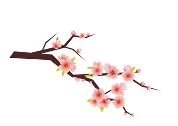 七夕节矢量桃花手绘