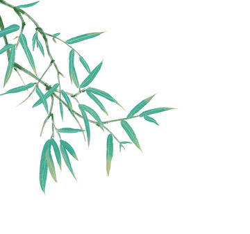 国风中式水墨绿色竹枝竹叶