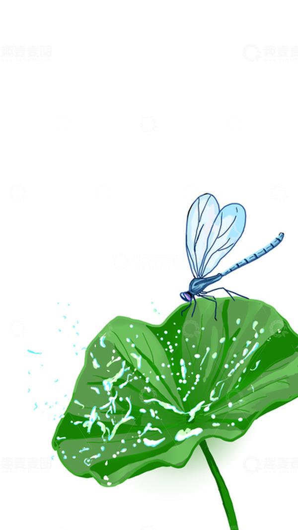 源文件下载【趣麦麦图】夏天大暑处暑蜻蜓荷叶溅水