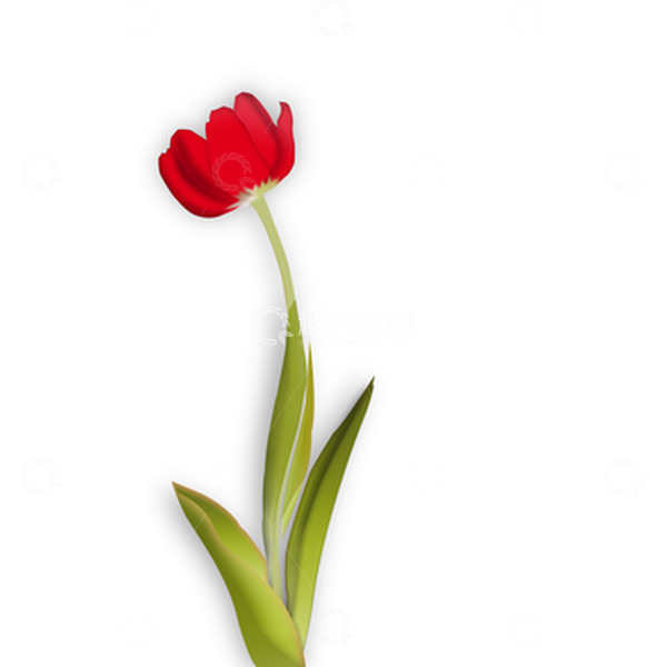 源文件下载【趣麦麦图】小红花 手绘 插画 清新 仿真