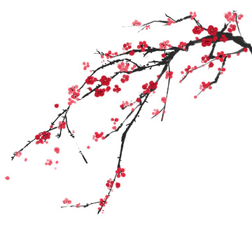 手绘国画梅花水墨梅花红梅元素