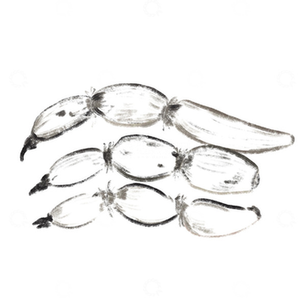 源文件下载【趣麦麦图】黑白小清新水墨风手绘莲藕元素